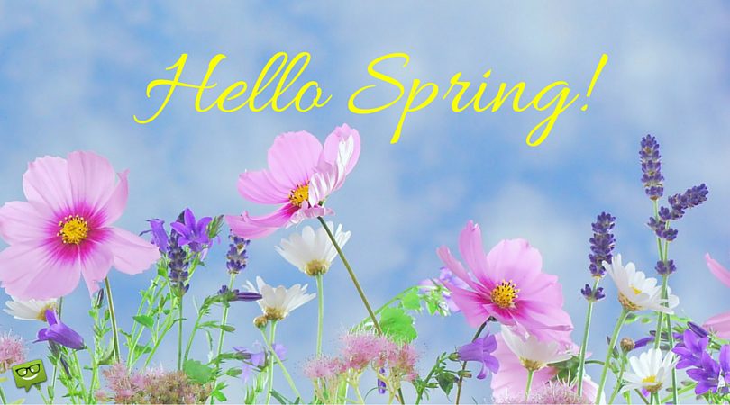Hello-Spring-810x450-1.jpg