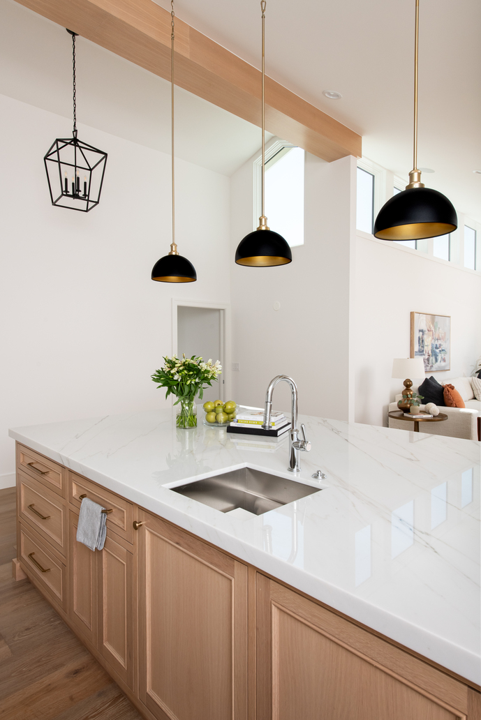 Niguel Shores - Feature 1