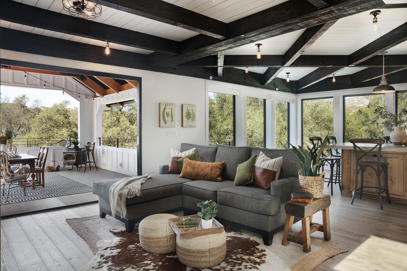 Trabuco Canyon Farmhouse - Living Detail