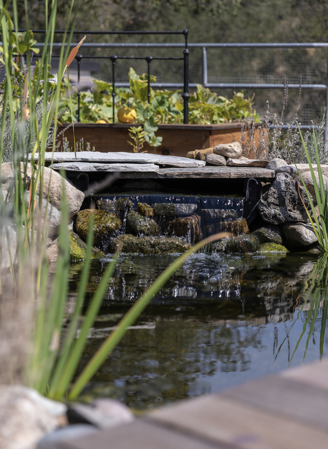Trabuco Canyon Farmhouse - Feature 10